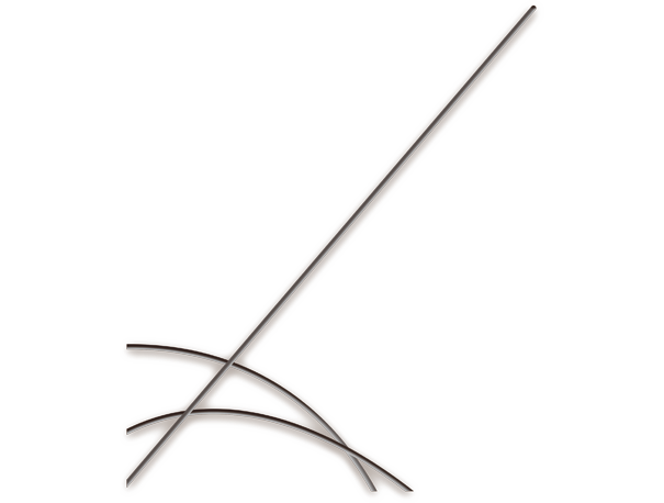 Disposable Urological Hydrophilic Guidewire