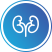 Urology